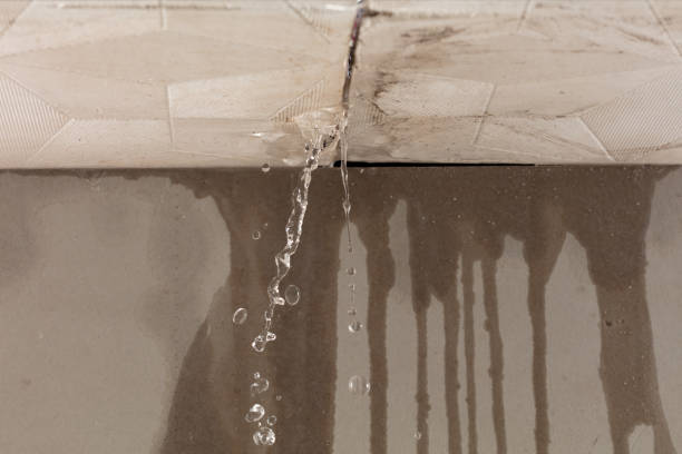 Professional Structural Drying technician working in Maple Heights, OH